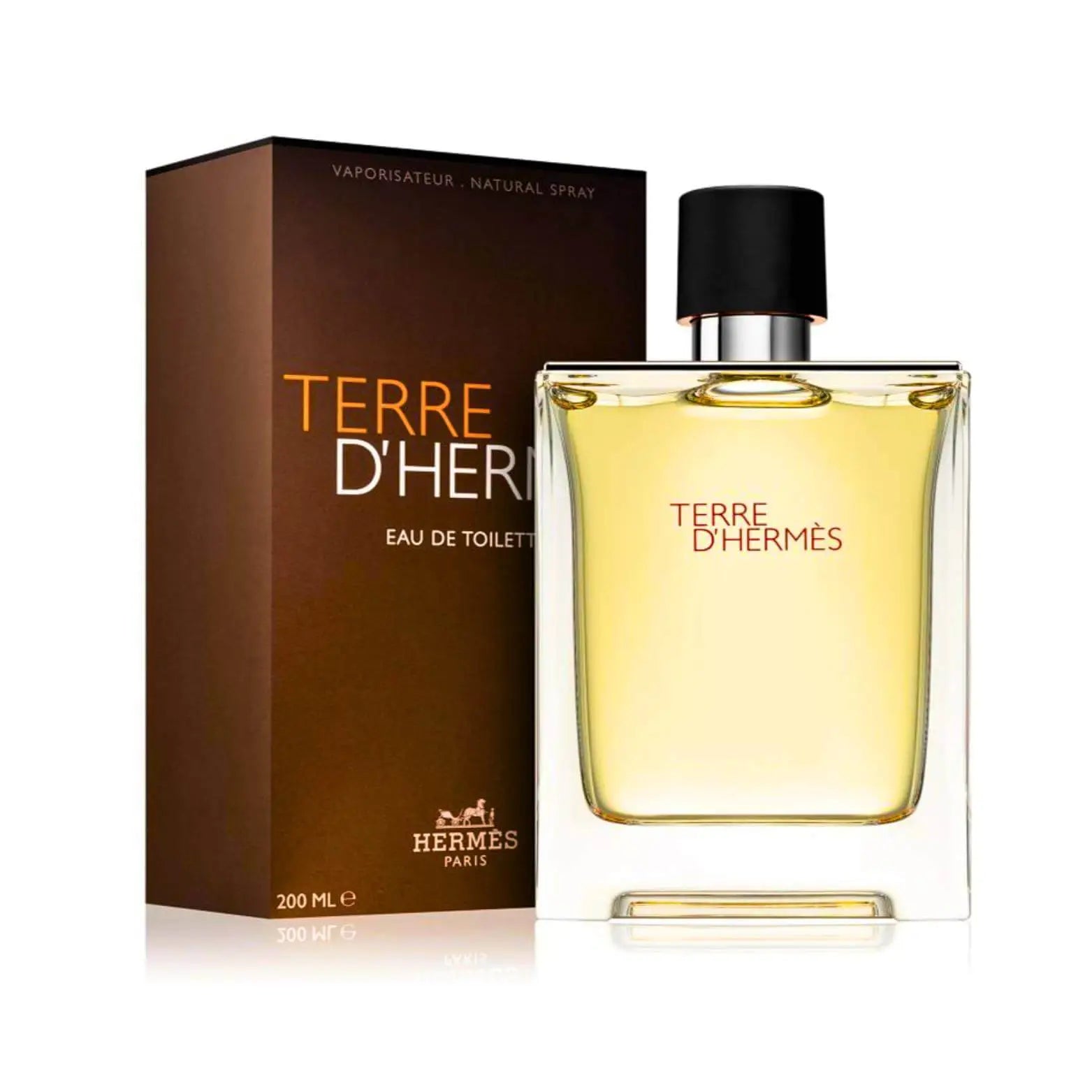 HERMES TERRE D' HERMES EDT 100ML/200ML
